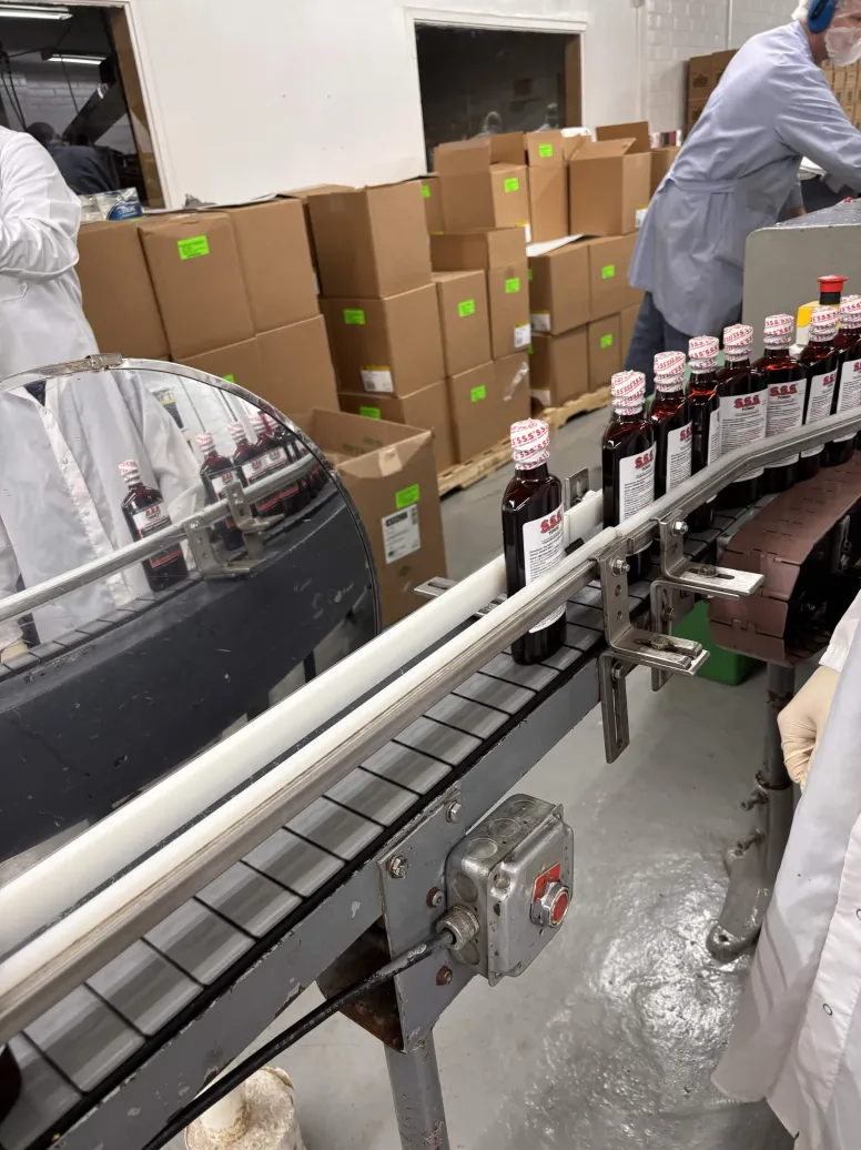 Bottles lined up on the conveyor belt